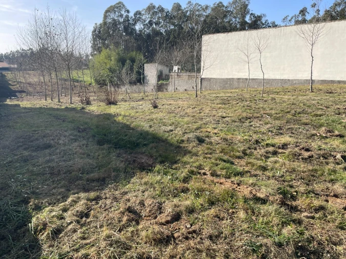 Terreno para Venda em Macinhata do Vouga Foto 2