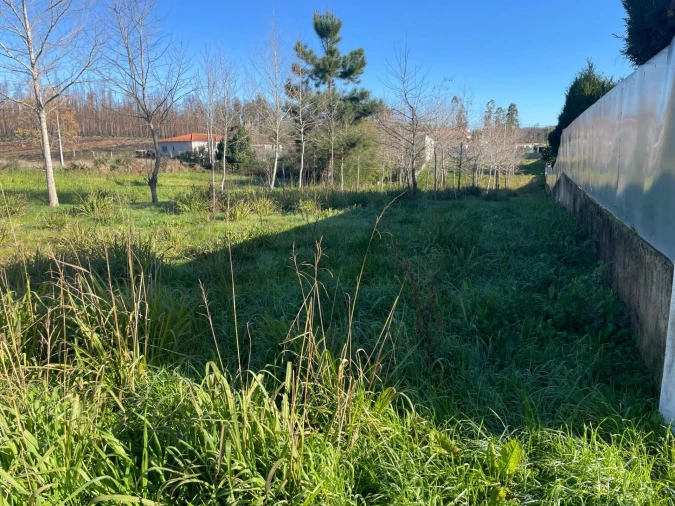 Terreno para Venda em Macinhata do Vouga Foto 4