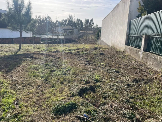 Terreno para Venda em Macinhata do Vouga Foto 3