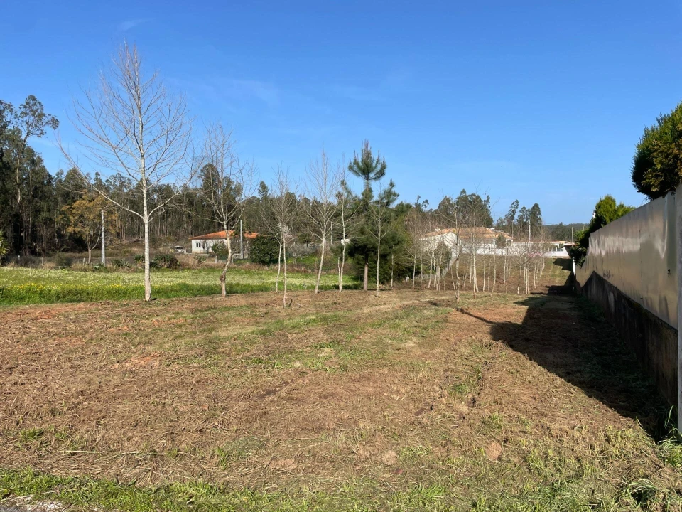 Terreno para Venda em Macinhata do Vouga Foto 1