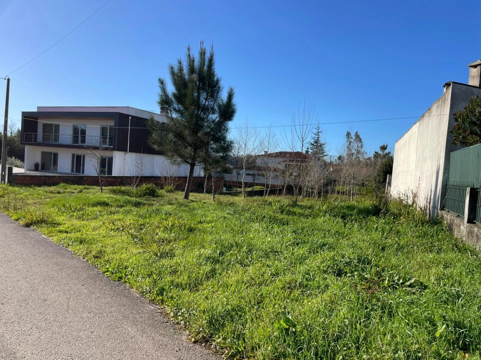 Terreno para Venda em Macinhata do Vouga Foto 8