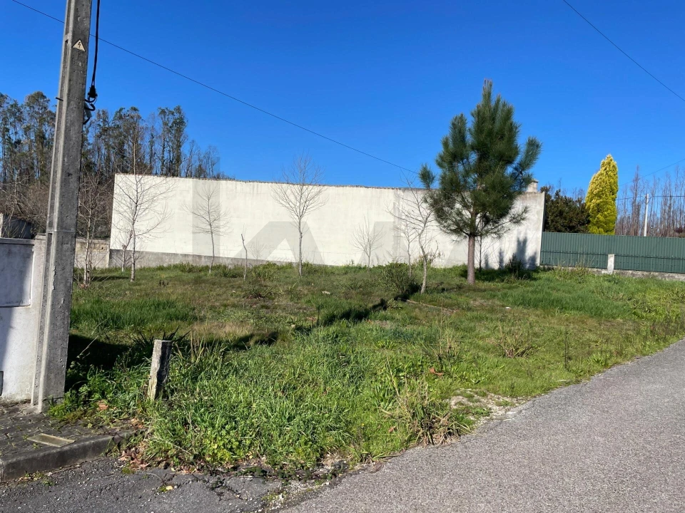 Terreno para Venda em Macinhata do Vouga Foto 6