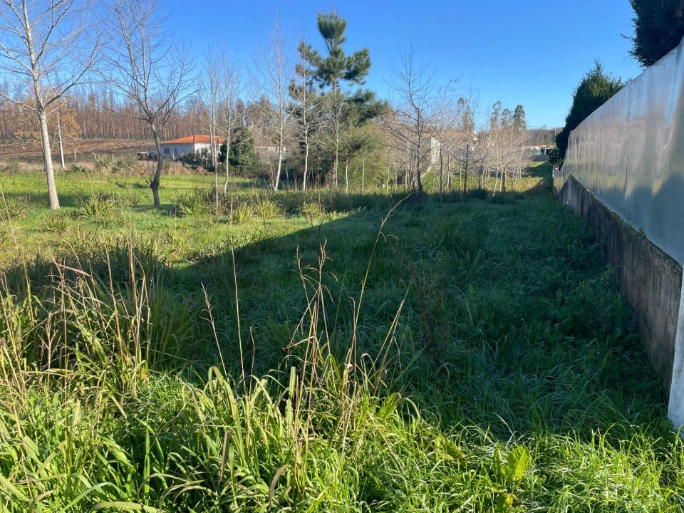 Terreno para Venda em Macinhata do Vouga Foto 4