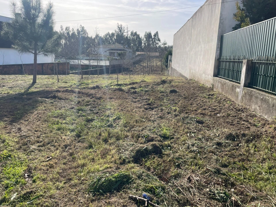 Terreno para Venda em Macinhata do Vouga Foto 3