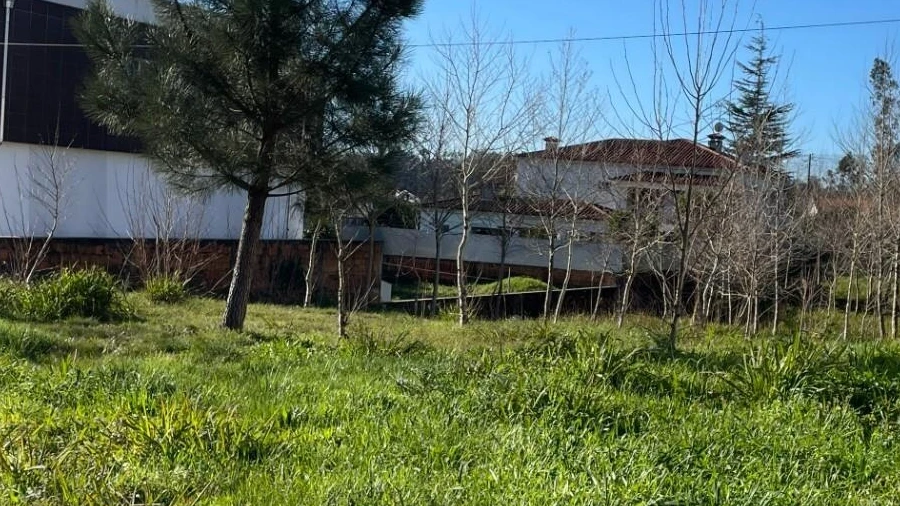 Terreno para Venda em Macinhata do Vouga
