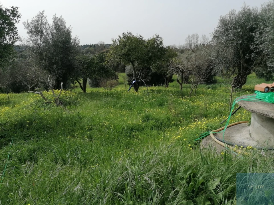 Moradia T2 para Venda em São João Baptista e Santa Maria dos Olivais Foto 20