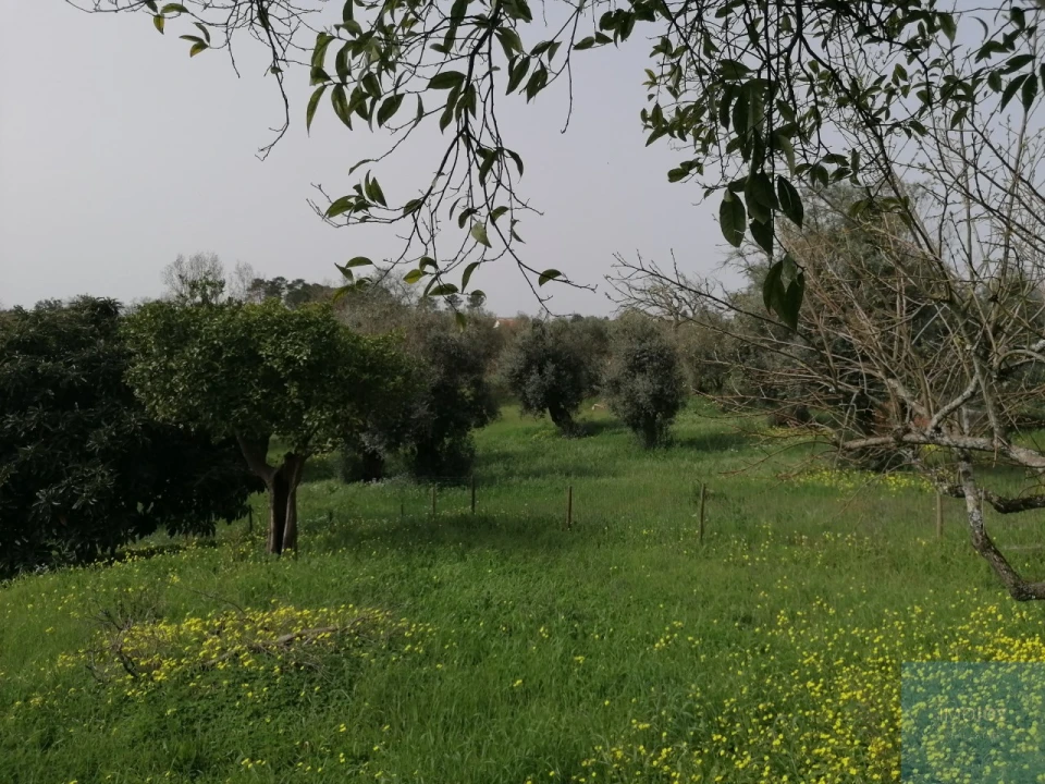 Moradia T2 para Venda em São João Baptista e Santa Maria dos Olivais Foto 21