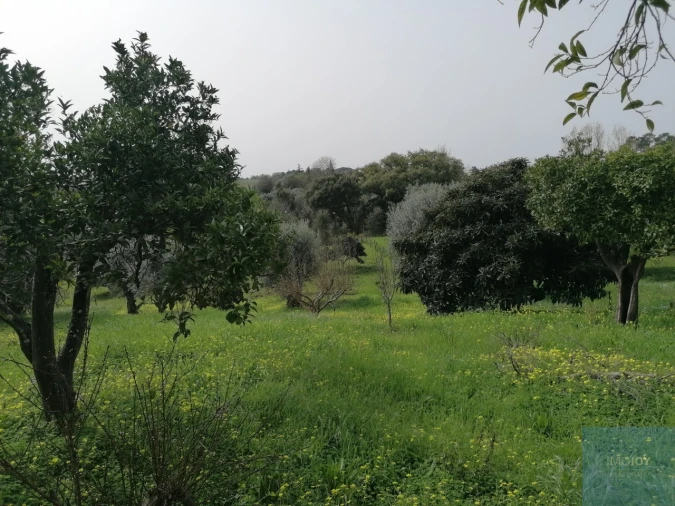 Moradia T2 para Venda em São João Baptista e Santa Maria dos Olivais Foto 19