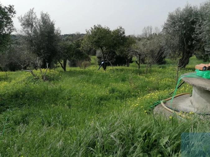 Moradia T2 para Venda em São João Baptista e Santa Maria dos Olivais Foto 20
