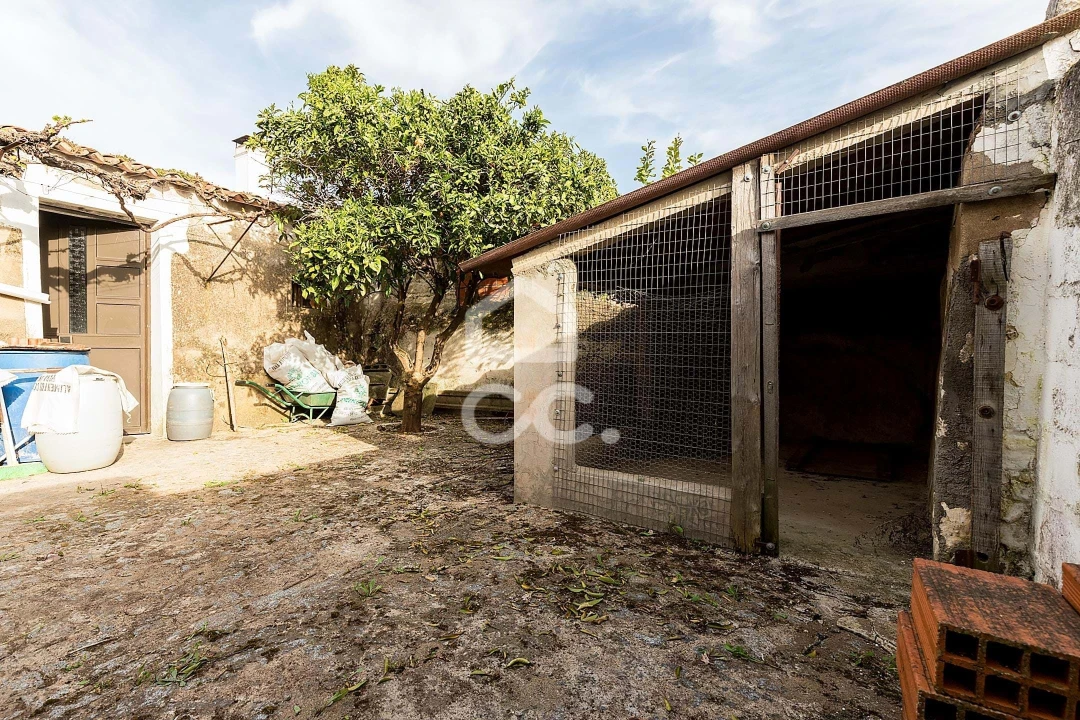 Moradia T3 para Venda em Campo e Campinho Foto 18