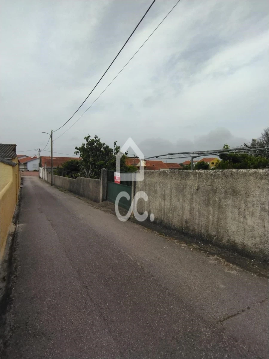 Moradia T3 para Venda em Vieira de Leiria Foto 24