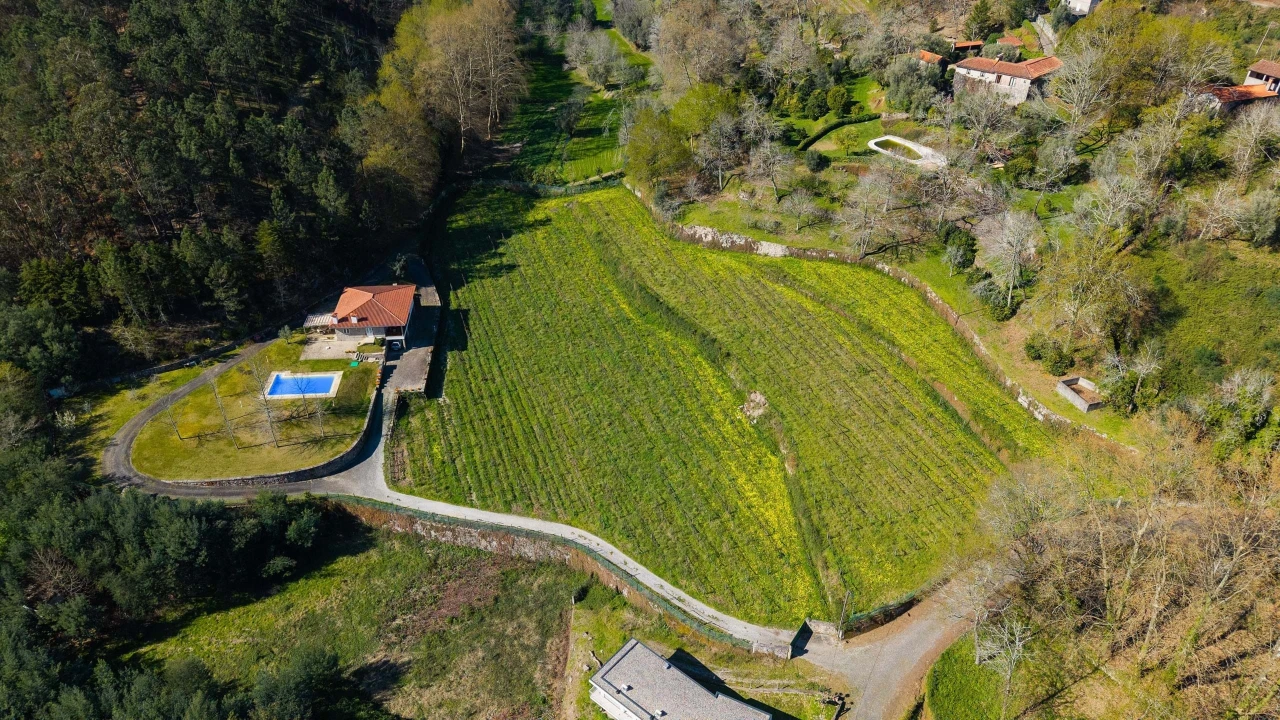 Quinta T3 para Venda em Bouro (Santa Maria) Foto 2