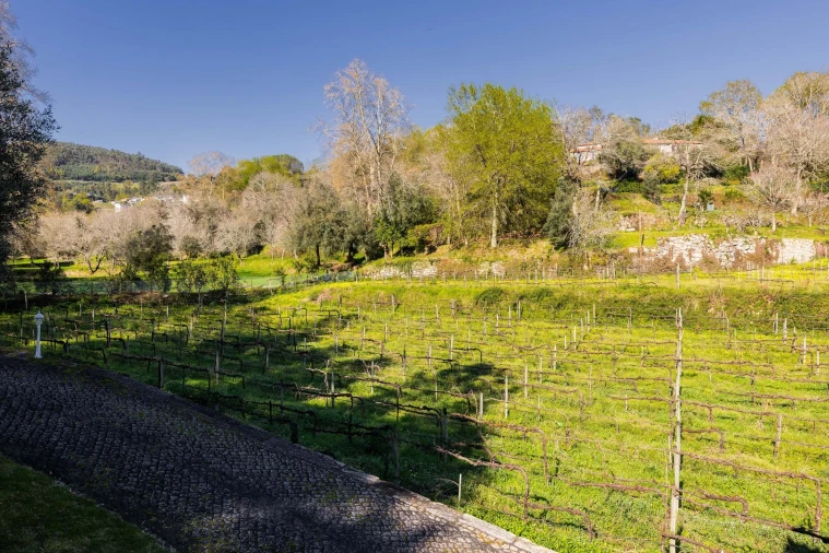 Quinta T3 para Venda em Bouro (Santa Maria) Foto 18