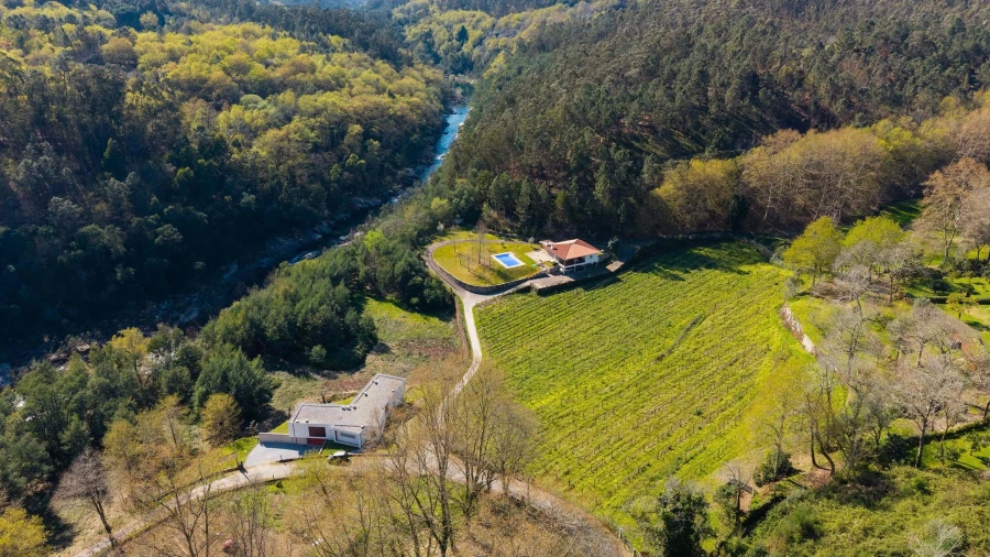 Quinta T3 para Venda em Bouro (Santa Maria) Foto 48