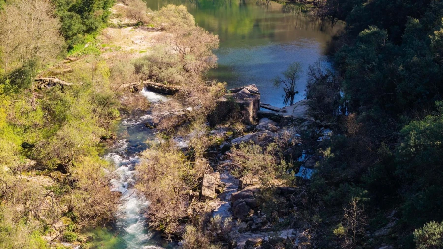 Quinta T3 para Venda em Bouro (Santa Maria) Foto 46