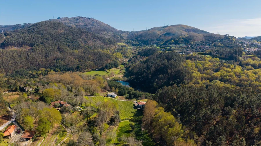 Quinta T3 para Venda em Bouro (Santa Maria) Foto 52