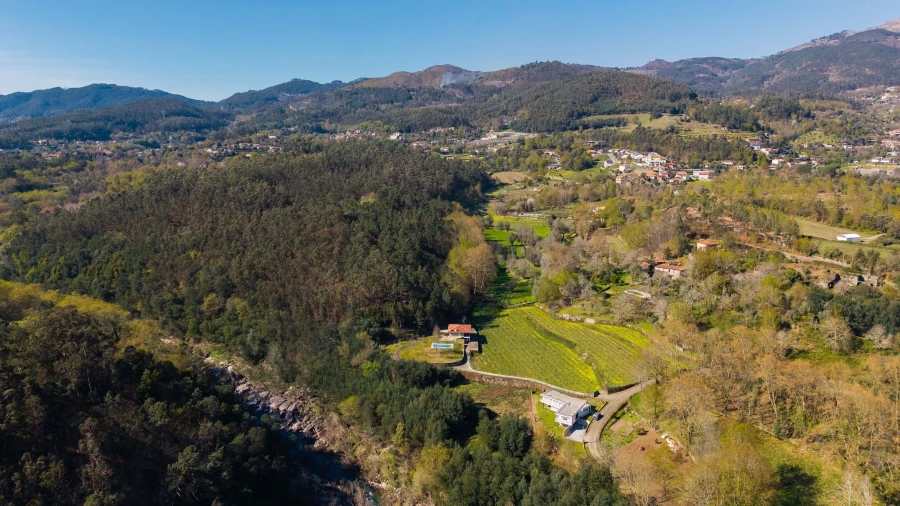 Quinta T3 para Venda em Bouro (Santa Maria) Foto 49