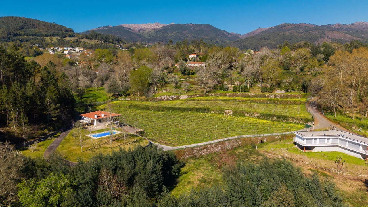 Quinta T3 para Venda em Bouro (Santa Maria) Foto 45