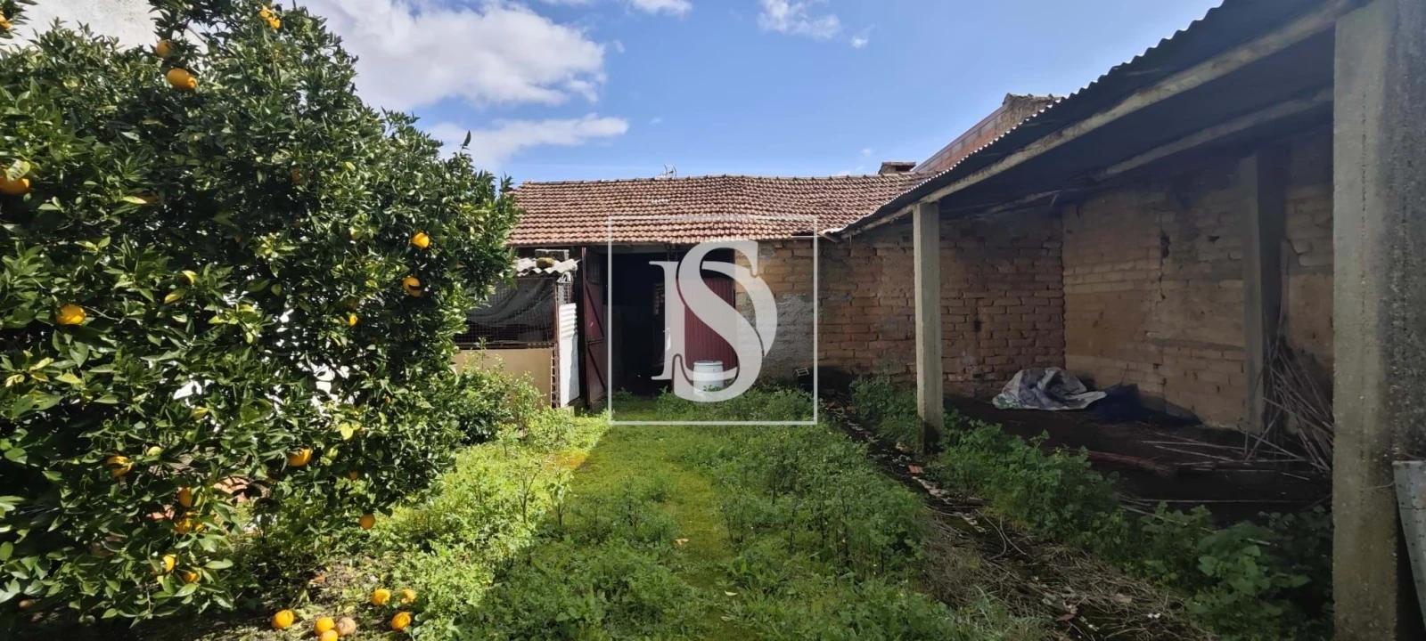 Moradia T3 para Venda em Amoreira da Gândara, Paredes do Bairro e Ancas Foto 19