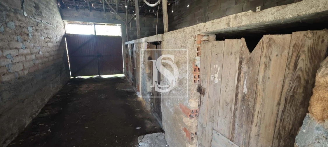 Moradia T3 para Venda em Amoreira da Gândara, Paredes do Bairro e Ancas Foto 24