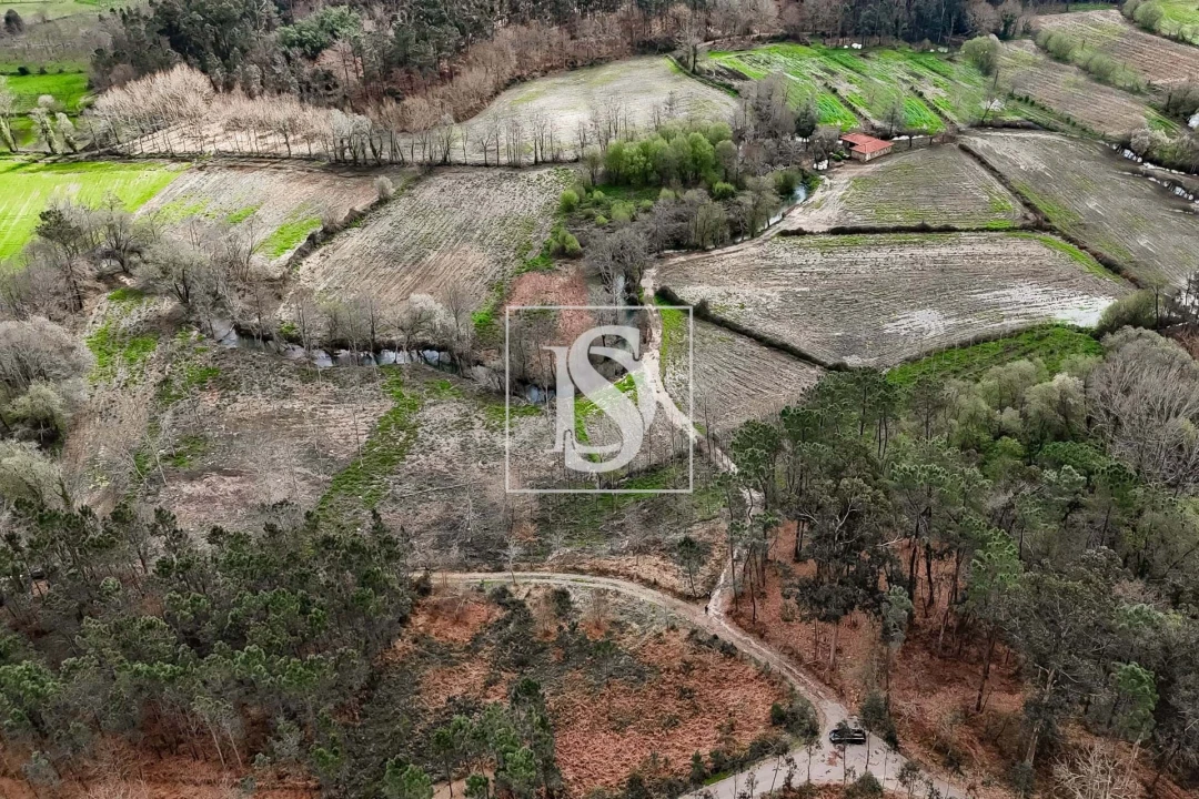 Terreno para Venda em Arca e Ponte de Lima Foto 19