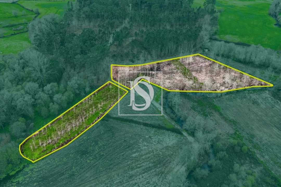 Terreno para Venda em Arca e Ponte de Lima Foto 12