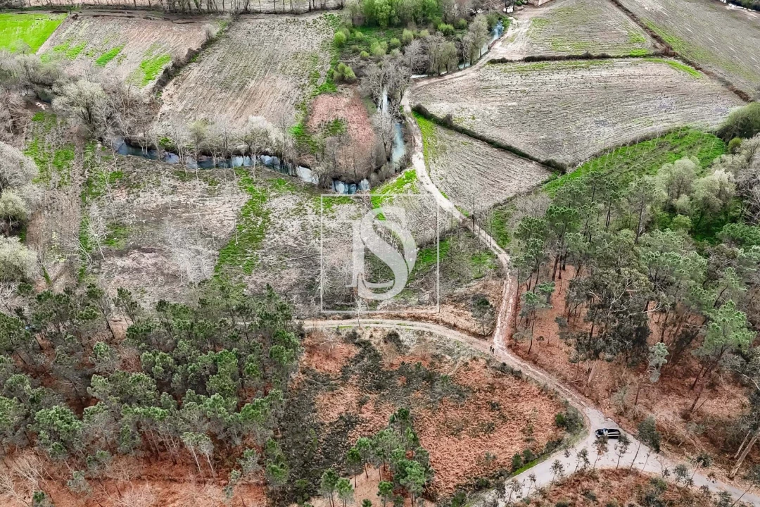 Terreno para Venda em Arca e Ponte de Lima Foto 7