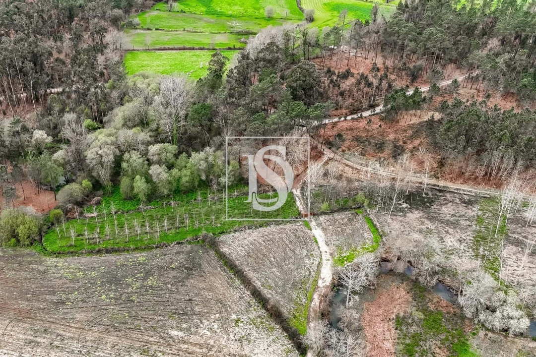 Terreno para Venda em Arca e Ponte de Lima Foto 11