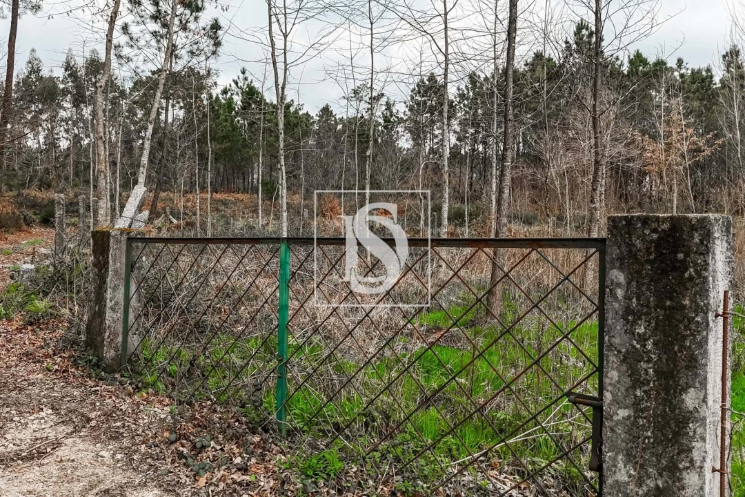 Terreno para Venda em Arca e Ponte de Lima Foto 2