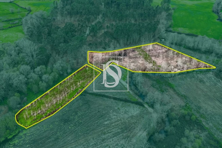 Terreno para Venda em Arca e Ponte de Lima Foto 12