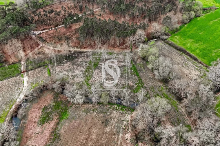 Terreno para Venda em Arca e Ponte de Lima Foto 9