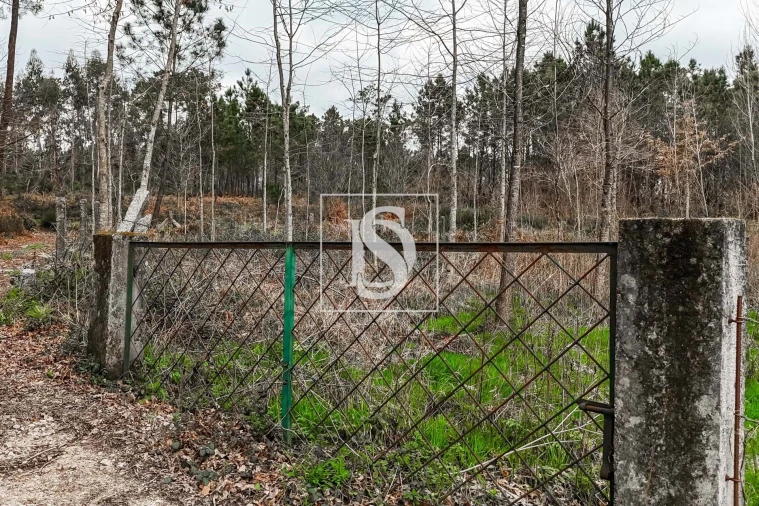 Terreno para Venda em Arca e Ponte de Lima Foto 2
