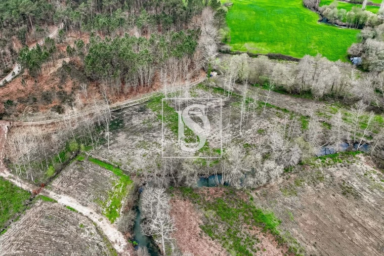 Terreno para Venda em Arca e Ponte de Lima Foto 15