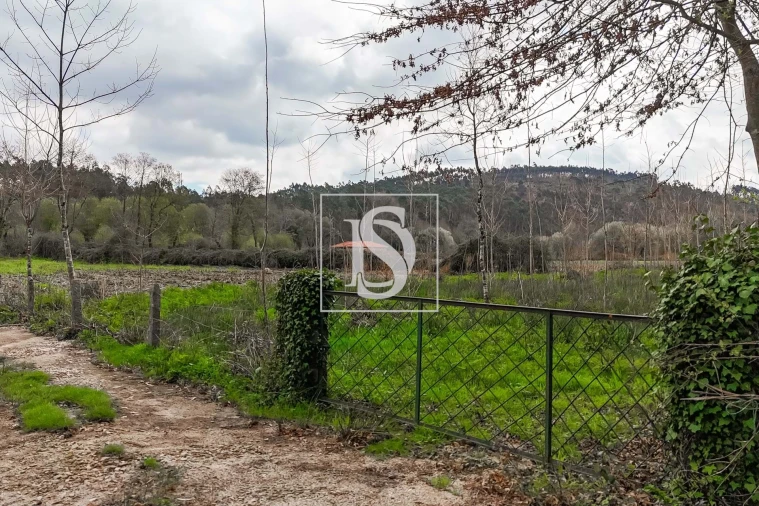 Terreno para Venda em Arca e Ponte de Lima Foto 3
