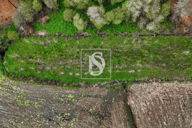 Terreno para Venda em Arca e Ponte de Lima Foto 14