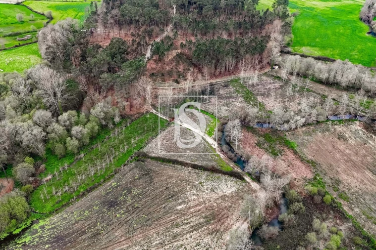 Terreno para Venda em Arca e Ponte de Lima Foto 13