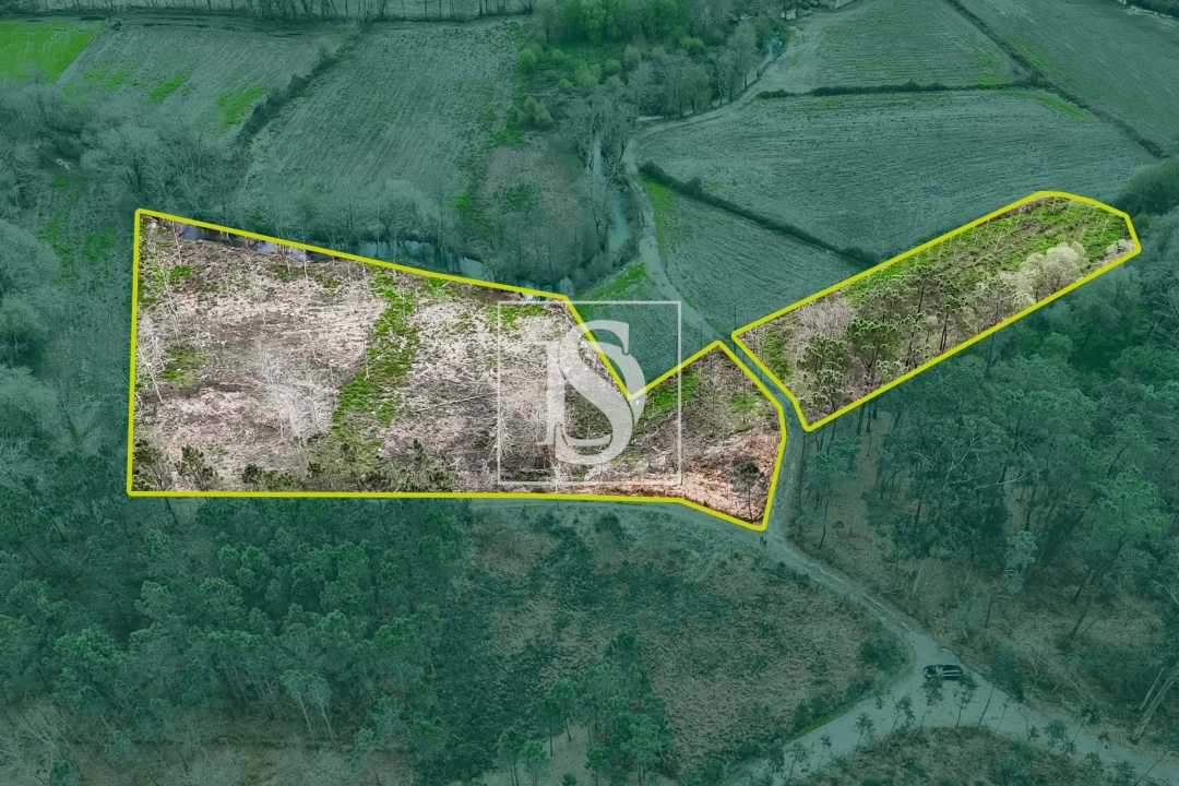 Terreno para Venda em Arca e Ponte de Lima Foto 1