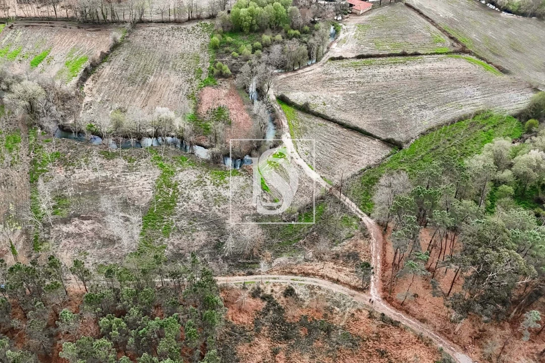 Terreno para Venda em Arca e Ponte de Lima Foto 6