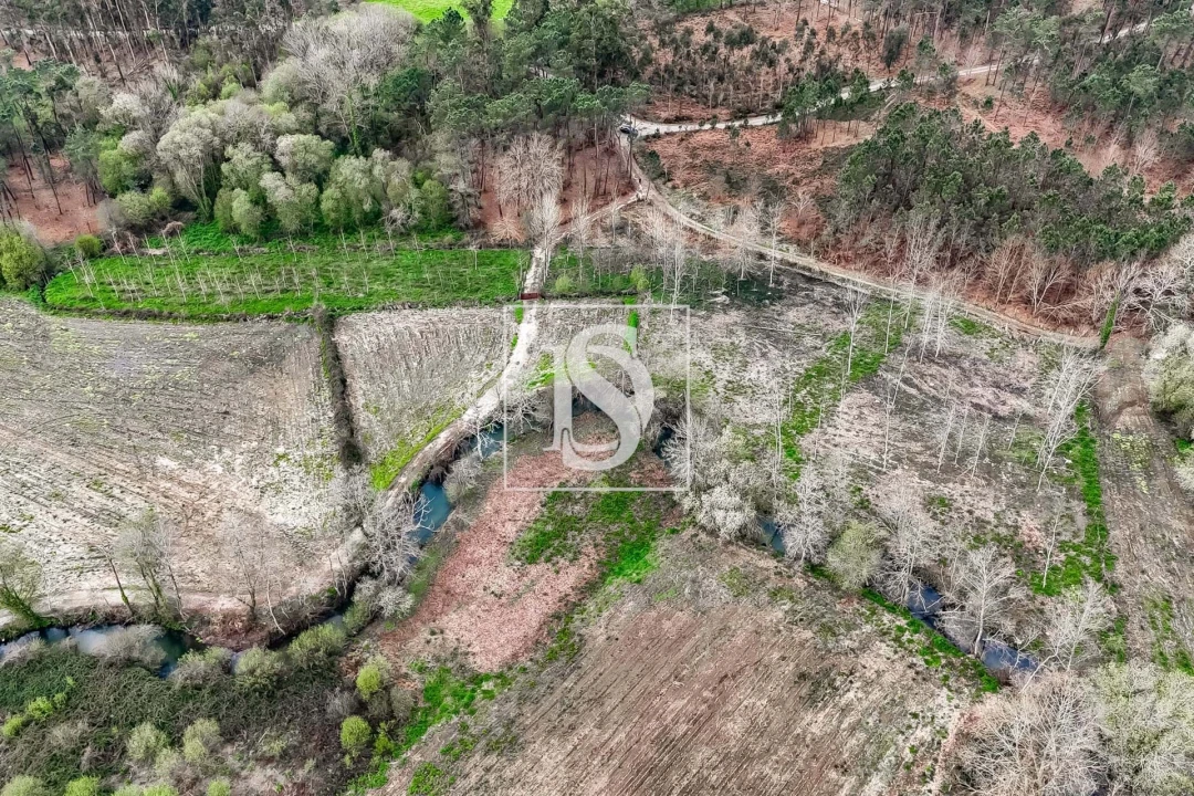 Terreno para Venda em Arca e Ponte de Lima Foto 10