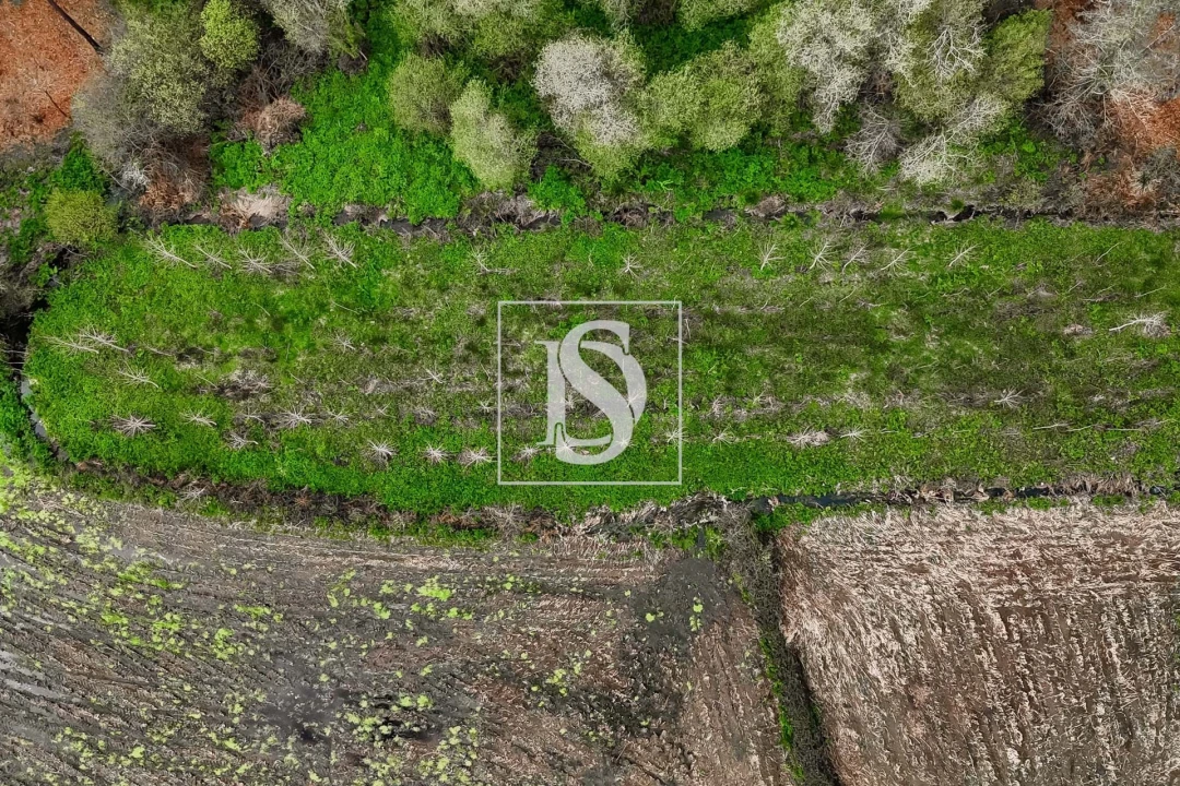 Terreno para Venda em Arca e Ponte de Lima Foto 14