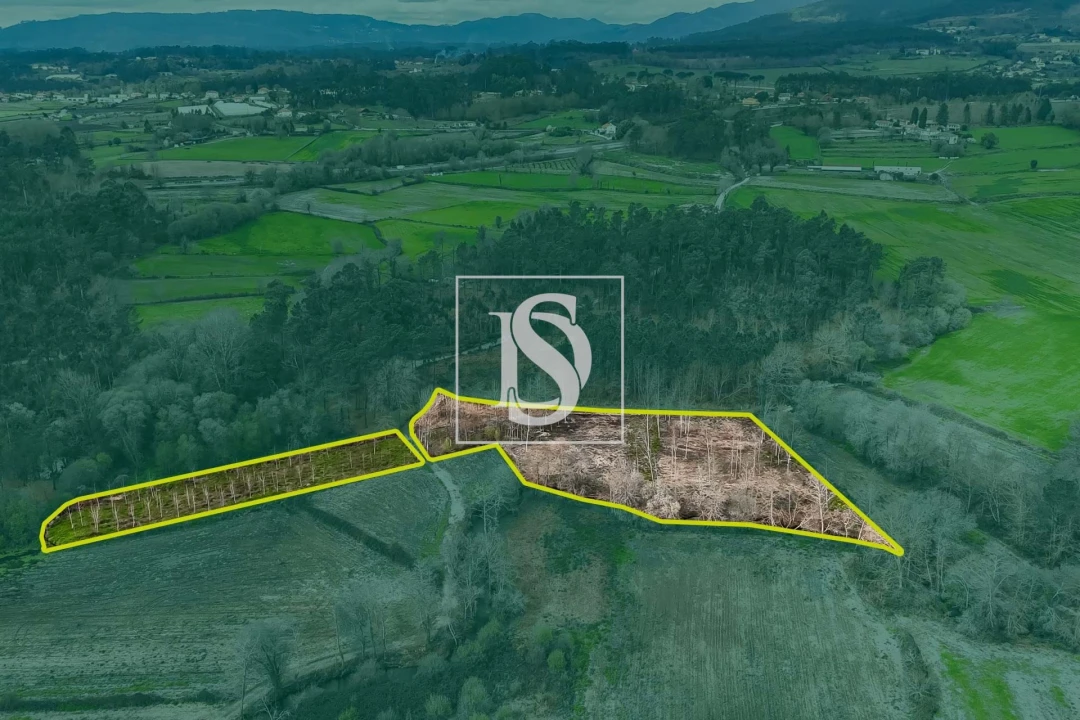 Terreno para Venda em Arca e Ponte de Lima Foto 17