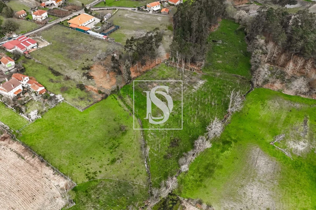 Terreno para Venda em Arca e Ponte de Lima Foto 9