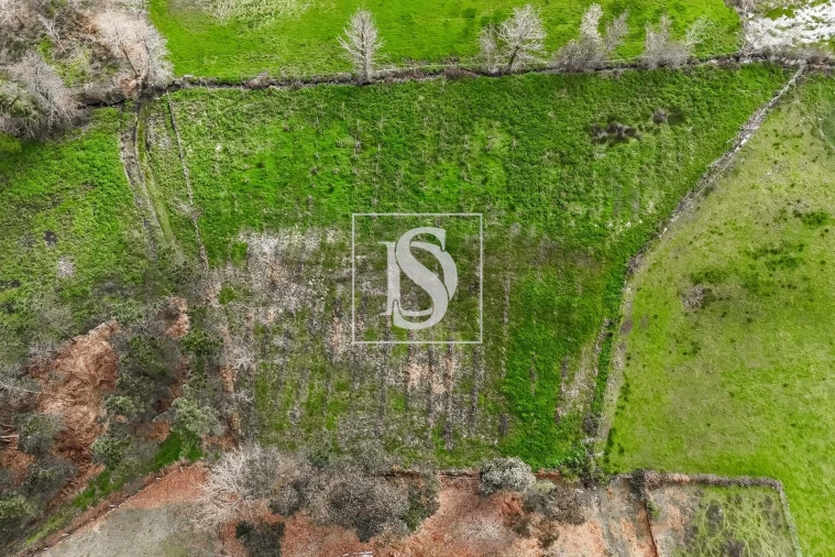 Terreno para Venda em Arca e Ponte de Lima Foto 16
