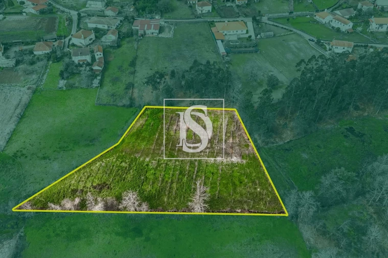 Terreno para Venda em Arca e Ponte de Lima Foto 3