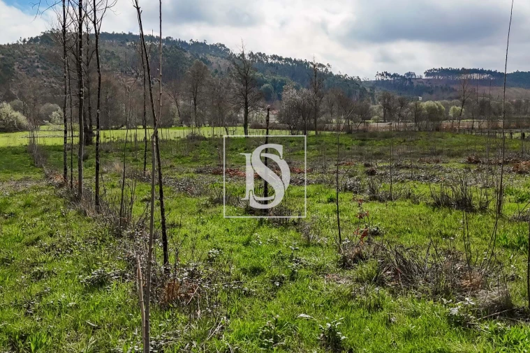 Terreno para Venda em Arca e Ponte de Lima Foto 19