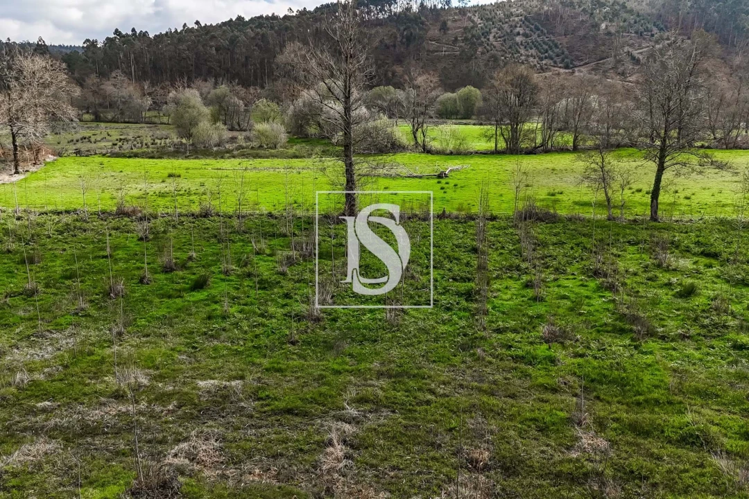 Terreno para Venda em Arca e Ponte de Lima Foto 17