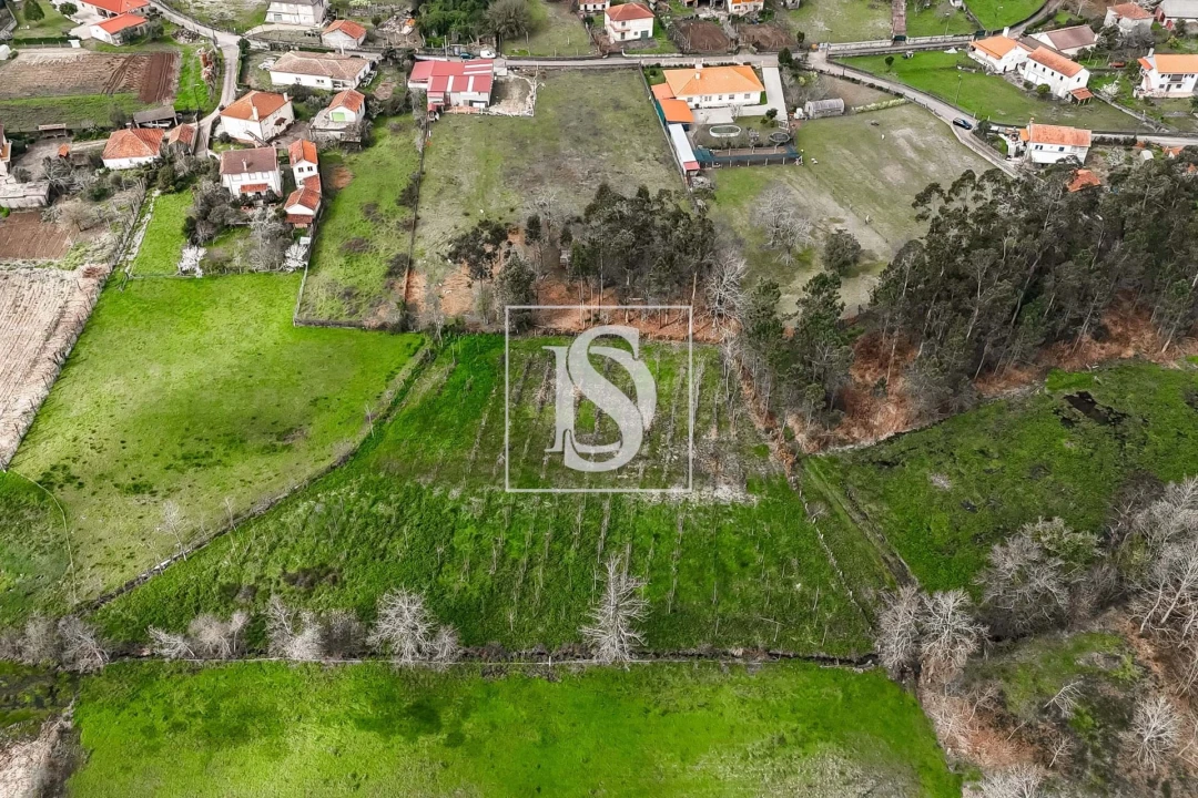 Terreno para Venda em Arca e Ponte de Lima Foto 8