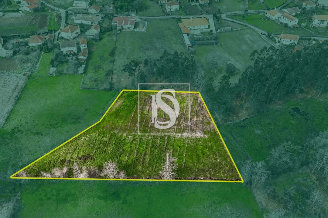 Terreno para Venda em Arca e Ponte de Lima Foto 3