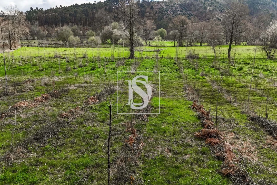 Terreno para Venda em Arca e Ponte de Lima Foto 18