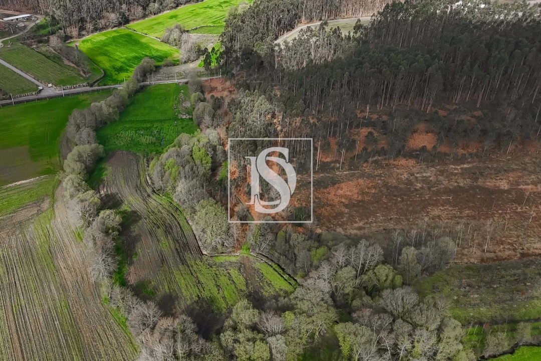 Terreno para Venda em Arca e Ponte de Lima Foto 8